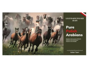 MAGNES PURE POLISH ARABIANS ZR 7,5x14,5cm