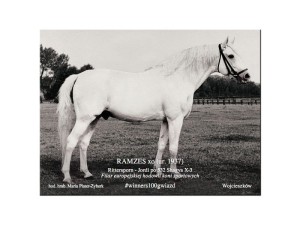 MAGNES RAMZES 7,5x10cm
