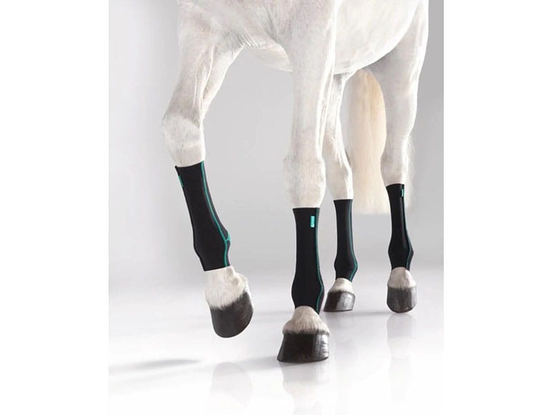 EQUI CROWN ACTIVE / TYŁ/ PRAWY