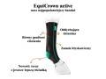 EQUI CROWN ACTIVE / TYŁ/ PRAWY